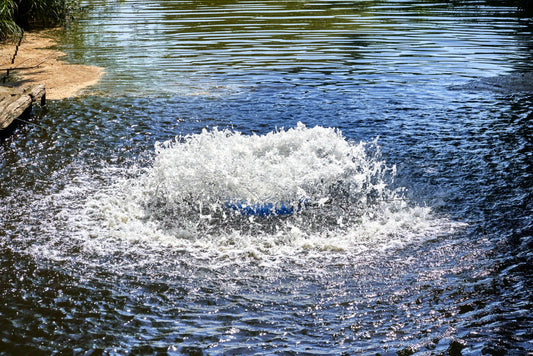 Best Guide About How Much Aeration Does A Pond Need