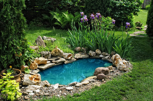 Best Small Pond Ideas and Tips to Transform Your Backyard
