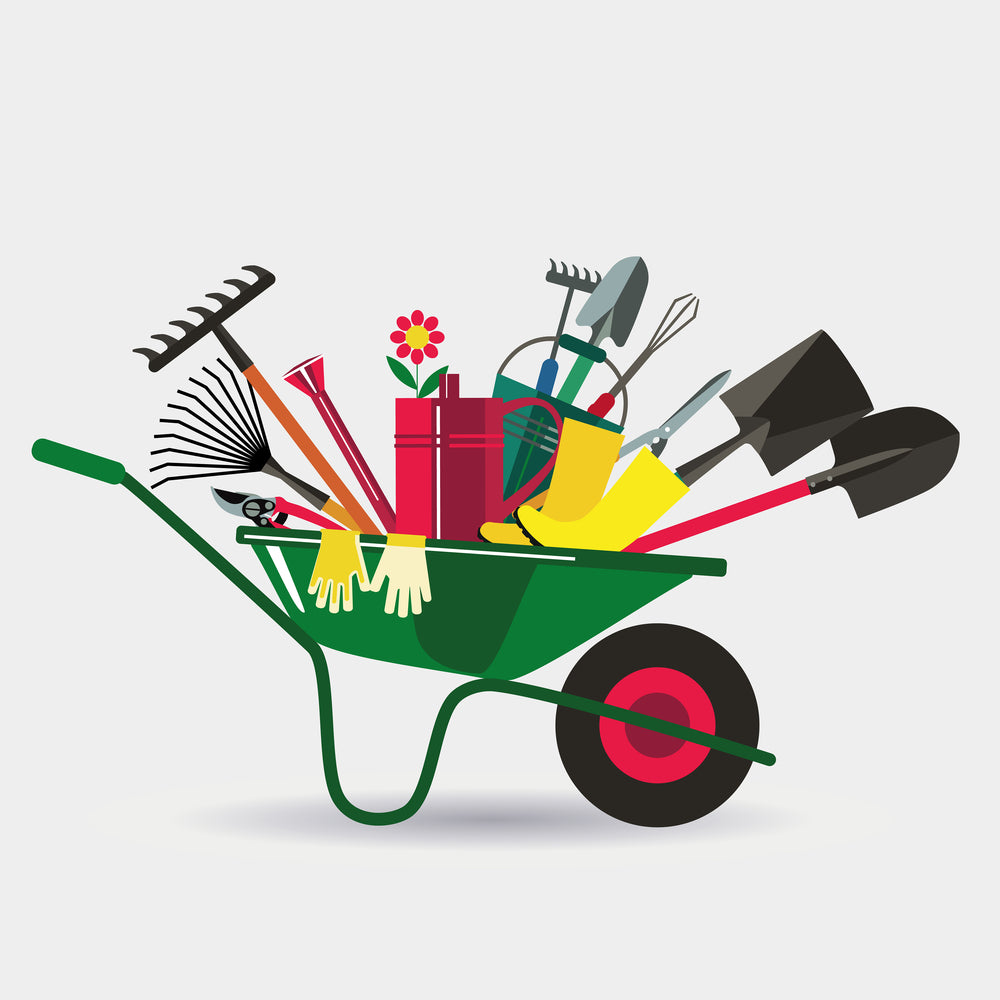 Best Pond and Lake Weed Removal Tools to Keeping them Healthy