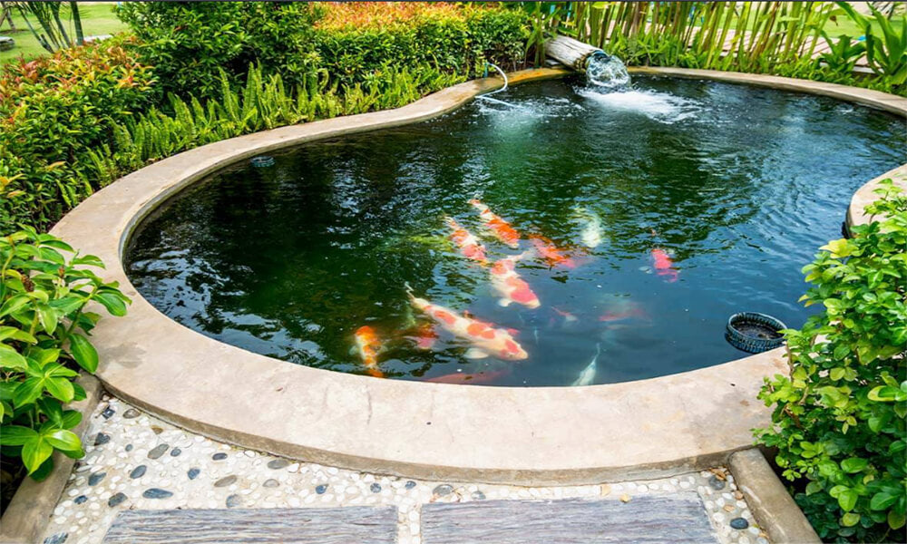 Create and Maintain a Healthy Pond Ecosystem Living Water Aeration