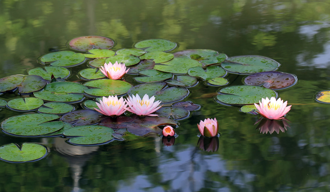 What Does Aeration Do to Water?