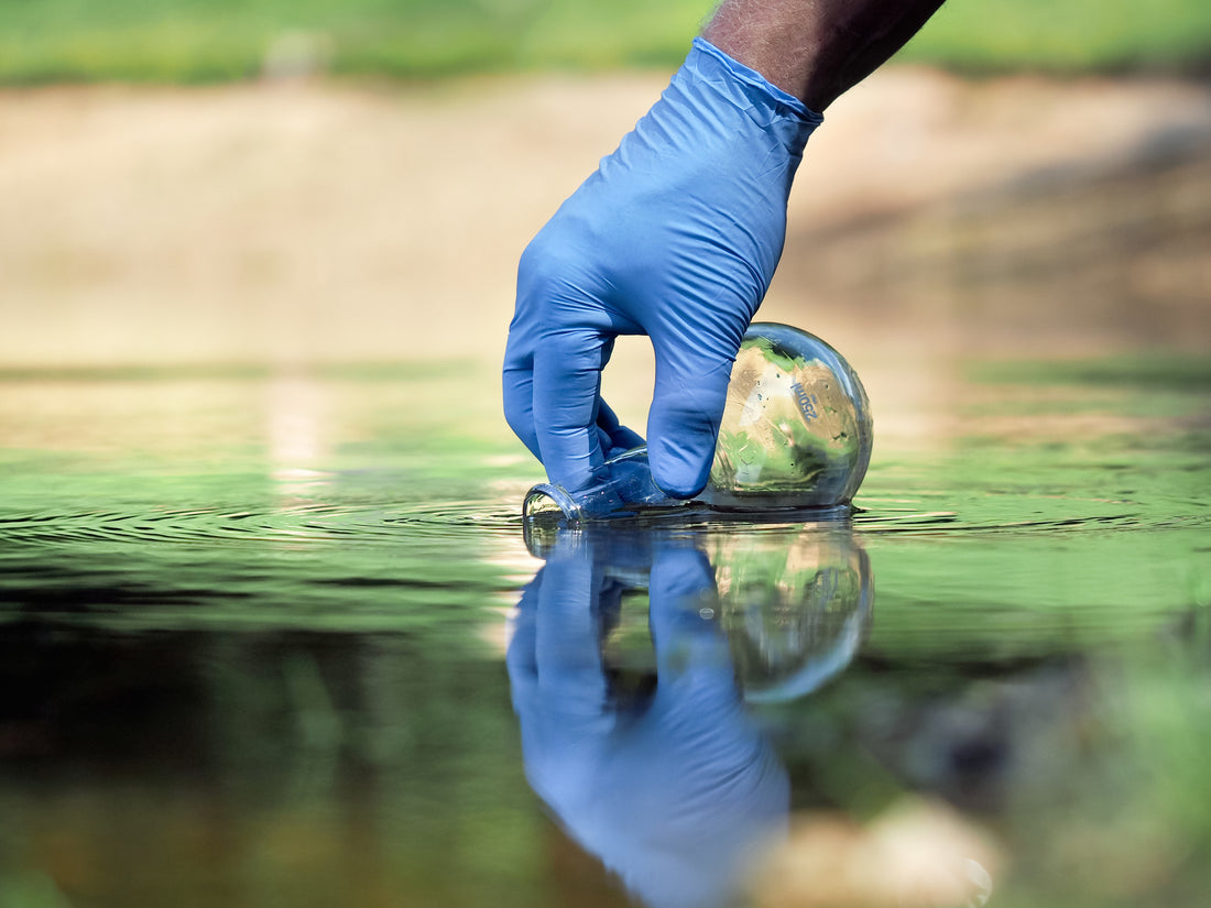 What Does Adding Beneficial Bacteria Do for a Pond?