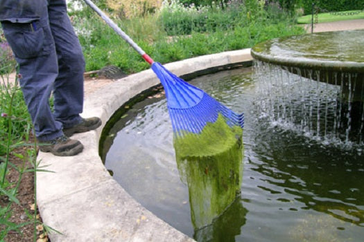 Summer Maintenance For Ponds – 7 Tips