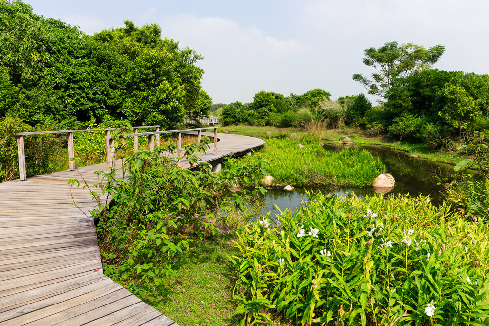 Weed Killers and Removal Techniques That Won’t Hurt Pond Fish