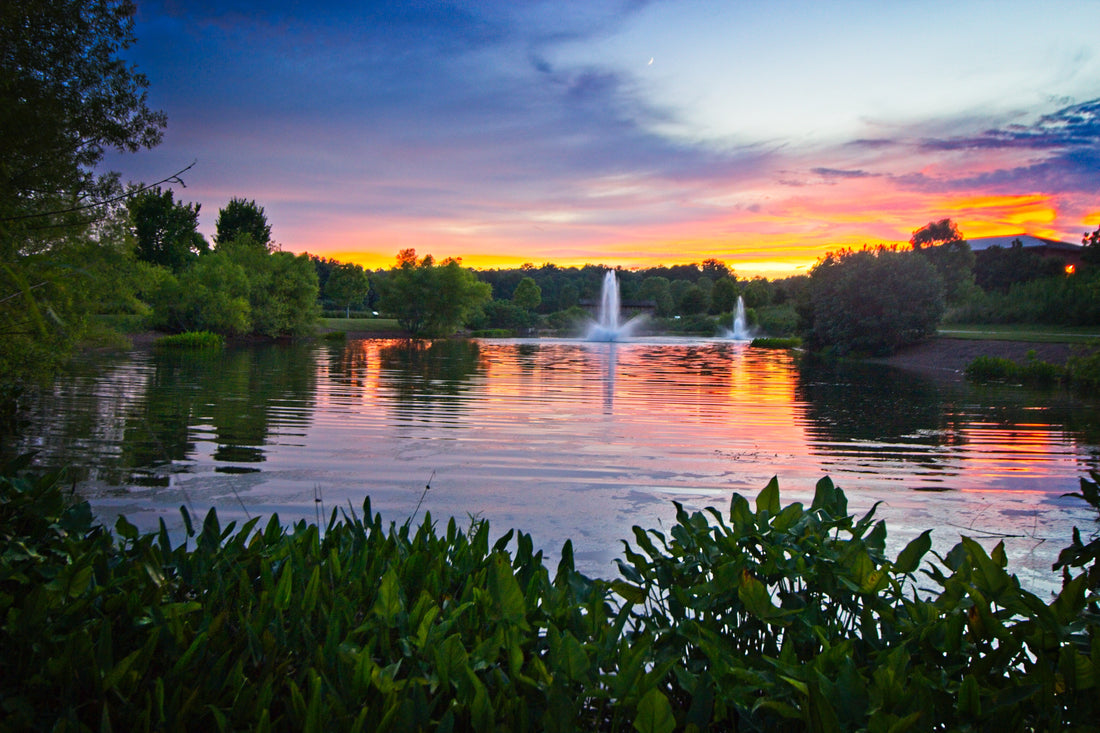 How Does a Pond Fountain Work?