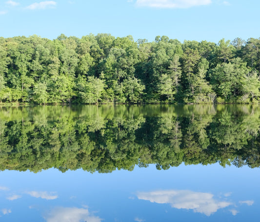 5 Tips to Keep Pond Water Clean