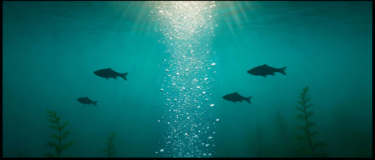 Scientific benefits of pond aeration showing healthy ecosystem with clear water and fish