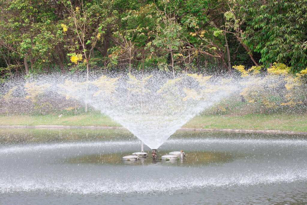 How To Dechlorinate Pond Water