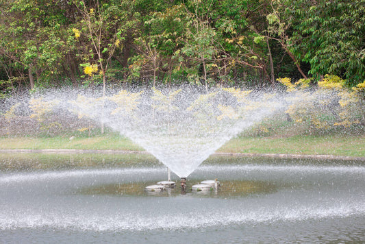 How To Dechlorinate Pond Water