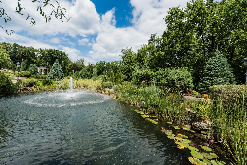 How to Make a Pond Hold Water: Leak-Proof Tips & Tricks