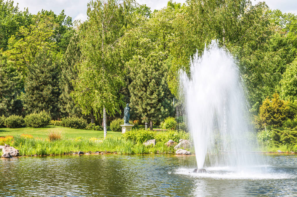 How to Clean Pond Without Draining It
