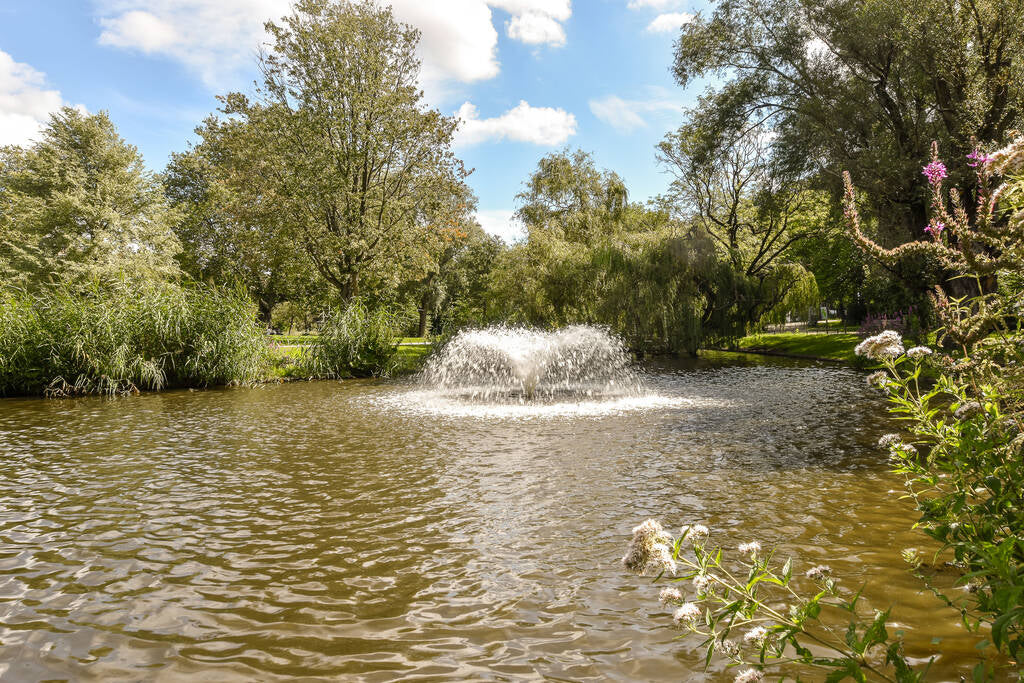 How to Clear Muddy Pond Water with Gypsum