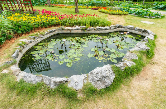 Learn how to calculate the flow rate needed for your pond waterfall and how to keep your pond healthy for years to come. Learn more with Living Water Aeration.