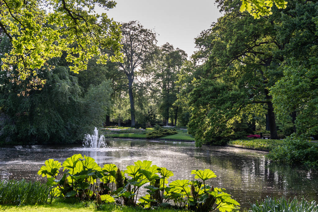 Learn how to properly clean and maintain your pond filter to prevent buildup of algae and black sludge. Read more from Living Water Aeration.