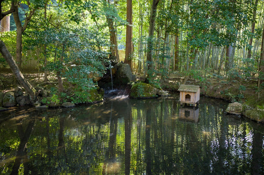 Backyard Pond Regulations – What To Know Before You DIY