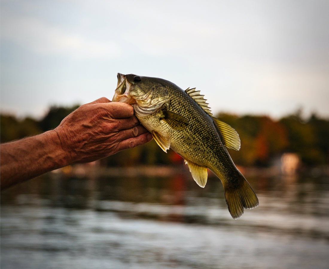 Building a Bass Pond – Living Water Aeration