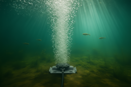 The Complete Pond Aeration Guide for Homeowners