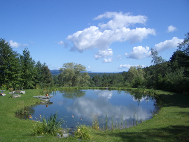 Stocking Your Large Pond