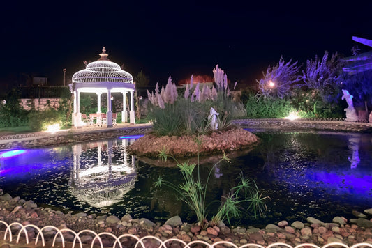 What You Must Know for Lining Your Pond