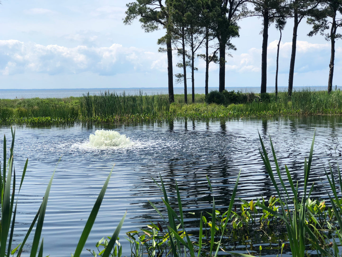 Kasco Solar Surface Pond Aerator - Living Water Aeration