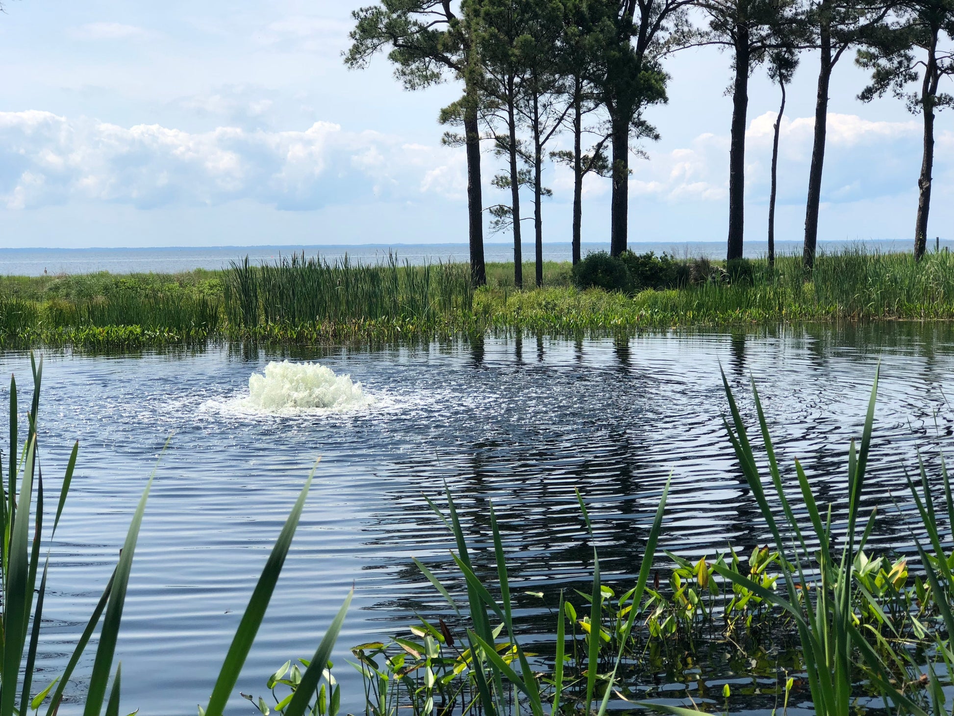 Kasco Solar Surface Pond Aerator - Living Water Aeration