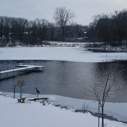 KASCO Deicers for Ponds and Lakes showcasing superior ice protection technology for docks and marinas in winter.