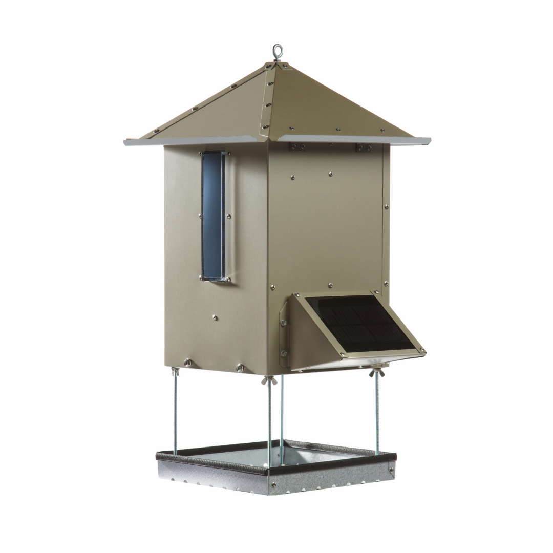 Sweeney - Bird Bistro - Automatic Feeder