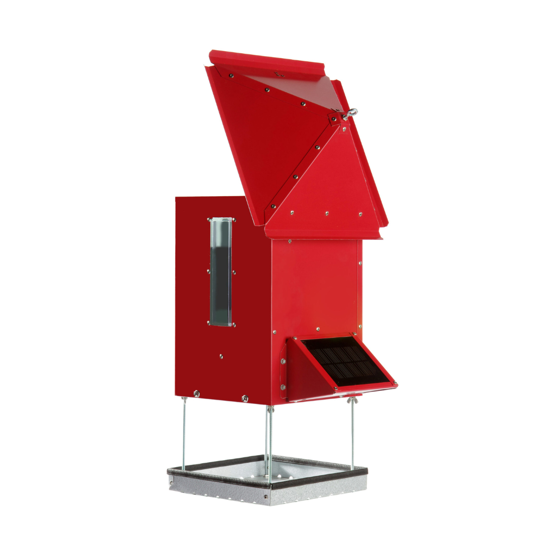Sweeney - Bird Bistro - Automatic Feeder