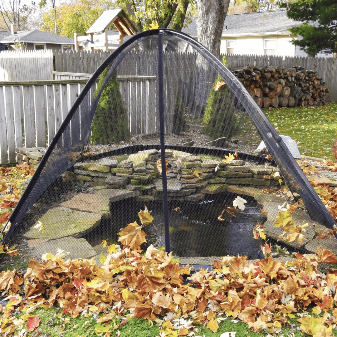 amazon dip nets for removing leaves from fish ponds EasyPro Deluxe Pond Cover Tent 13' x 17'