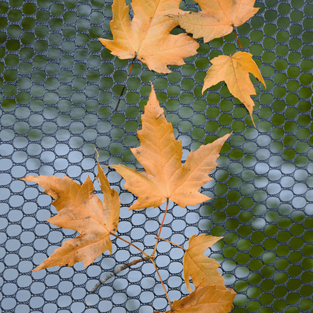 amazon dip nets for removing leaves from fish ponds EasyPro Deluxe Pond Cover Tent 13' x 17'