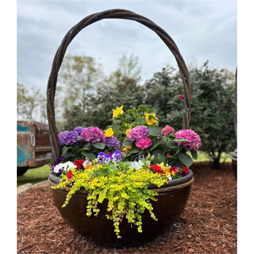 37" Garden Basket - Carbon Steel Feature - 100% USA Made