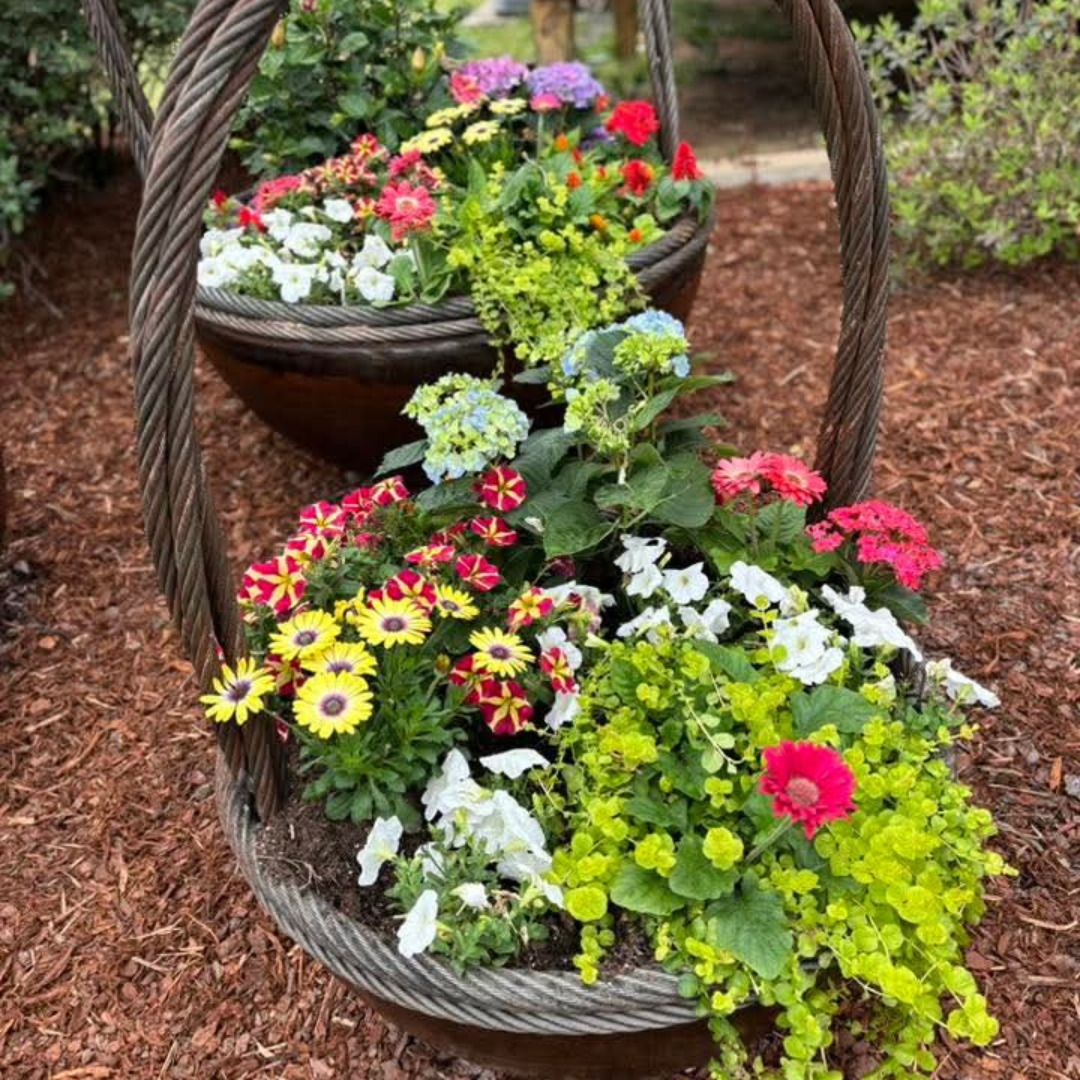 30", 37", & 41" Garden Basket Set of 3 - Carbon Steel Features
