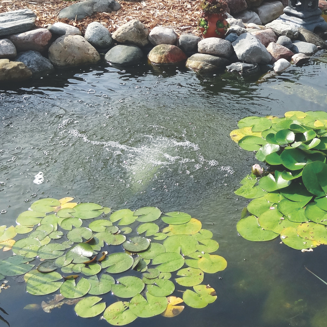 Pro-Clear Aire™ Aeration Compressors