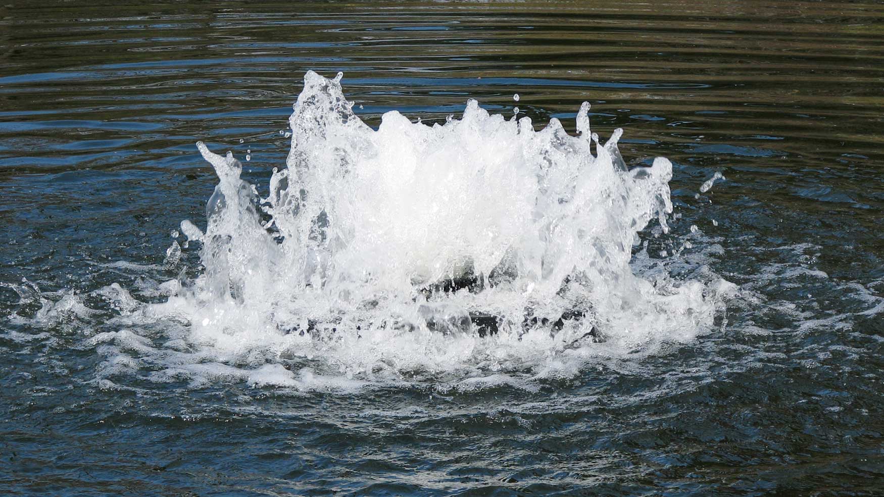solar powered pond aerator creating surface water agitation and oxygen circulation in a pond