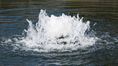 solar powered pond aerator creating surface water agitation and oxygen circulation in a pond