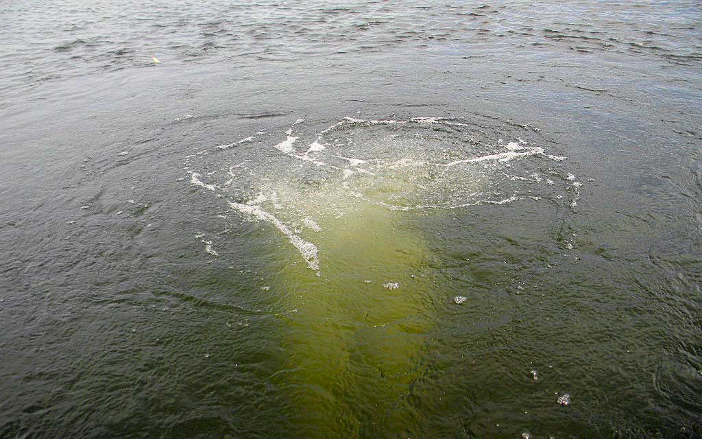 Scott Aerator Solar Subsurface Aeration System | Solar Bottom Aerator | 2 or 4 Diffusers, No Batteries