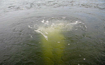 Scott Aerator Solar Subsurface Aeration System | Solar Bottom Aerator | 2 or 4 Diffusers, No Batteries