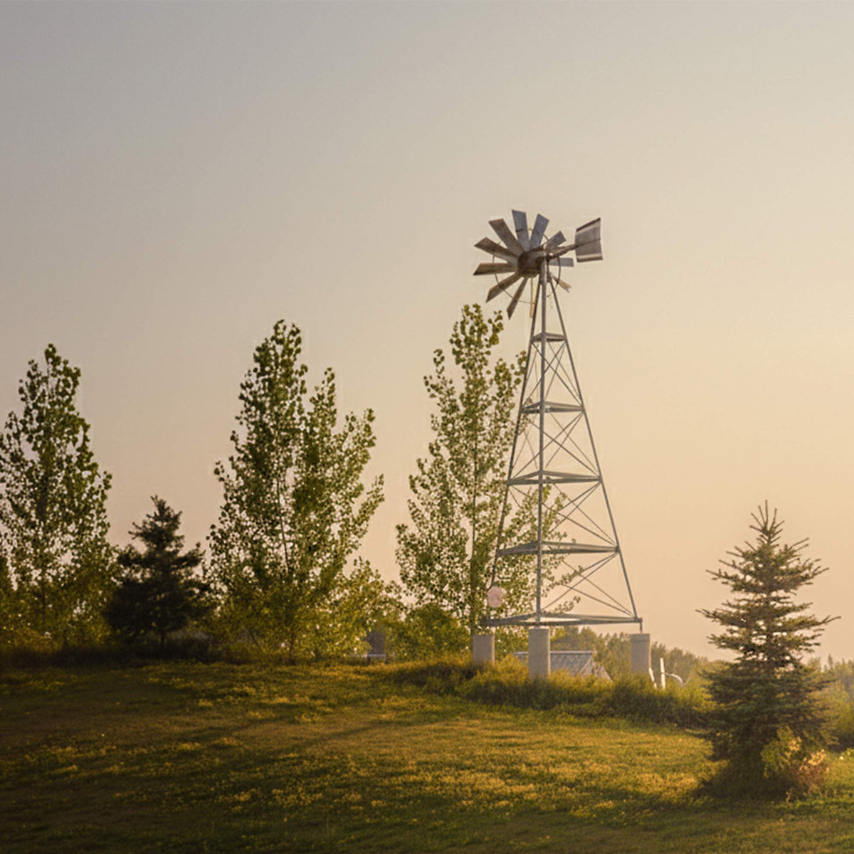 Outdoor Water Solutions windmill aerator among trees at golden hour