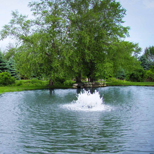 Scott Aerator Boilermaker aerating a residential pond with trees behind