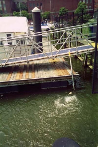 Kasco Dock Mount Hardware for Deicers - Living Water Aeration
